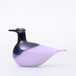 Birds Oriol ライトライラック 0002