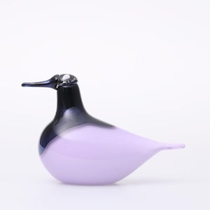 Birds Oriol ライトライラック 0003