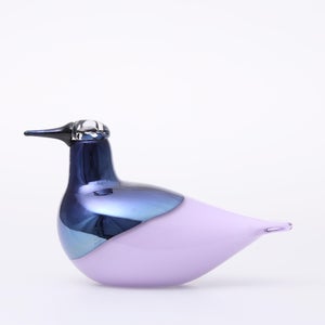 Birds Oriol ライトライラック 0004