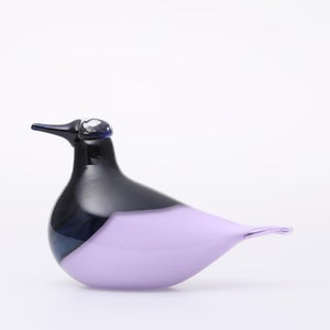 Birds Oriol ライトライラック 0006