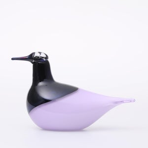 Birds Oriol ライトライラック 0009