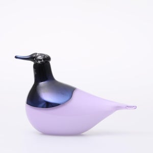 Birds Oriol ライトライラック 0010