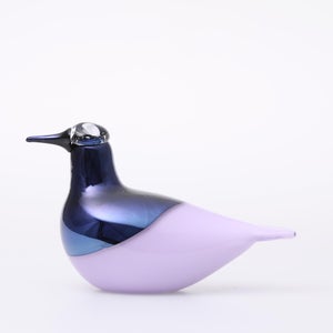 Birds Oriol ライトライラック 0011