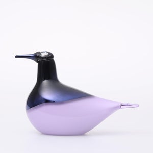 Birds Oriol ライトライラック 0012