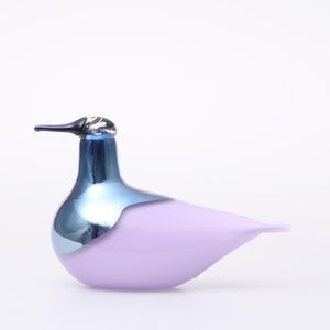 Birds Oriol ライトライラック 0013