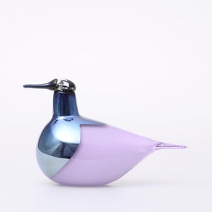 Birds Oriol ライトライラック 0014