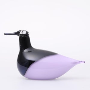 Birds Oriol ライトライラック 0015