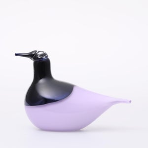 Birds Oriol ライトライラック 0020