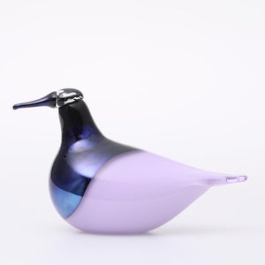 Birds Oriol ライトライラック 0023