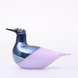 Birds Oriol ライトライラック 0027