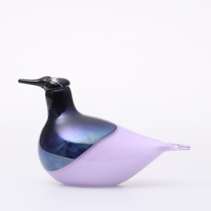 Birds Oriol ライトライラック 0028