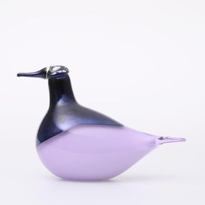 Birds Oriol ライトライラック 0030