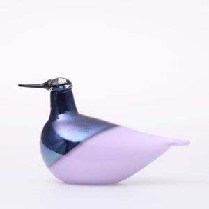 Birds Oriol ライトライラック 0031