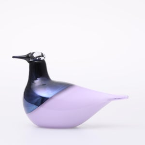 Birds Oriol ライトライラック 0032