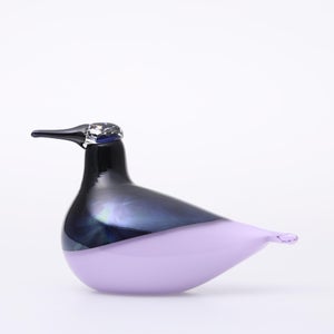 Birds Oriol ライトライラック 0033