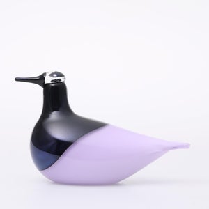 Birds Oriol ライトライラック 0036