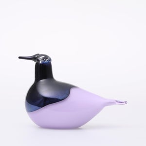 Birds Oriol ライトライラック 0038