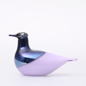 Birds Oriol ライトライラック 0040