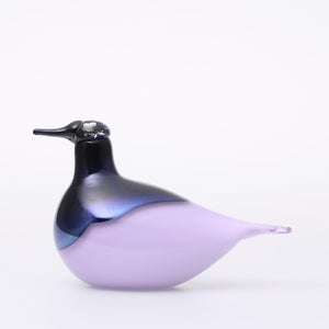 Birds Oriol ライトライラック 0041