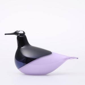 Birds Oriol ライトライラック 0042