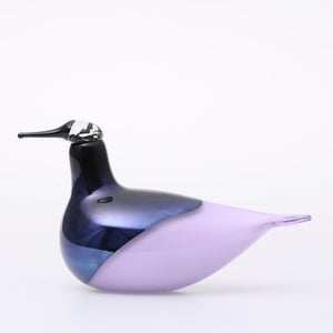 Birds Oriol ライトライラック 0043