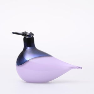 Birds Oriol ライトライラック 0044