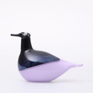 Birds Oriol ライトライラック 0045