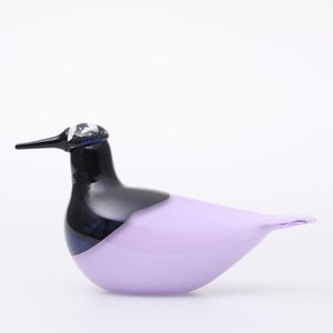 Birds Oriol ライトライラック 0046