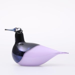 Birds Oriol ライトライラック 0049