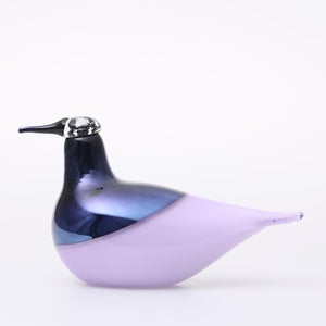 Birds Oriol ライトライラック 0050