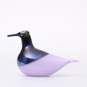 Birds Oriol ライトライラック 0051