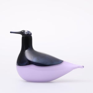 Birds Oriol ライトライラック 0052