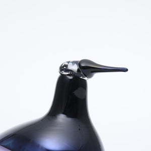 Birds Oriol ライトライラック 0001