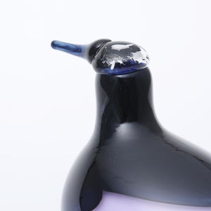 Birds Oriol ライトライラック 0007