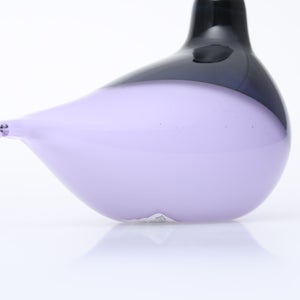 Birds Oriol ライトライラック 0017