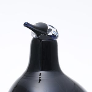 Birds Oriol ライトライラック 0020