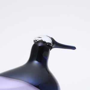 Birds Oriol ライトライラック 0039