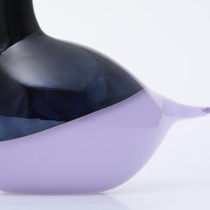 Birds Oriol ライトライラック 0045