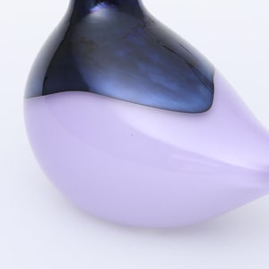 Birds Oriol ライトライラック 0030