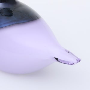 Birds Oriol ライトライラック 0032