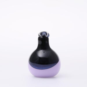 Birds Oriol ライトライラック 0007