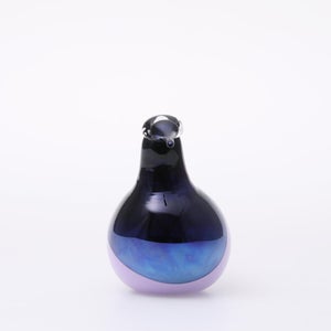 Birds Oriol ライトライラック 0023