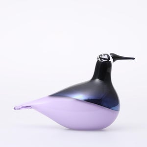 Birds Oriol ライトライラック 0001