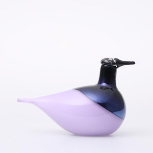 Birds Oriol ライトライラック 0002