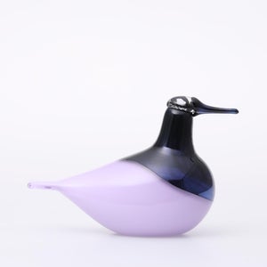 Birds Oriol ライトライラック 0003