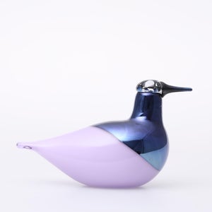 Birds Oriol ライトライラック 0004