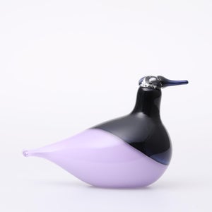 Birds Oriol ライトライラック 0007