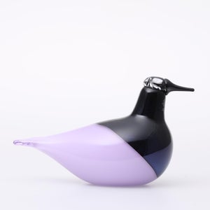 Birds Oriol ライトライラック 0008