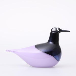 Birds Oriol ライトライラック 0009