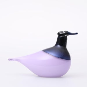 Birds Oriol ライトライラック 0010